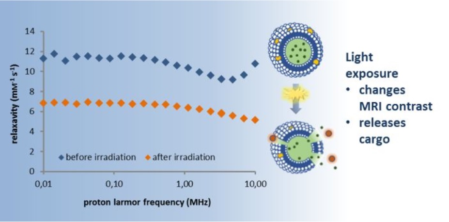 A light-responsive liposomal agent for MRI contrast enhancement and monitoring of cargo delivery