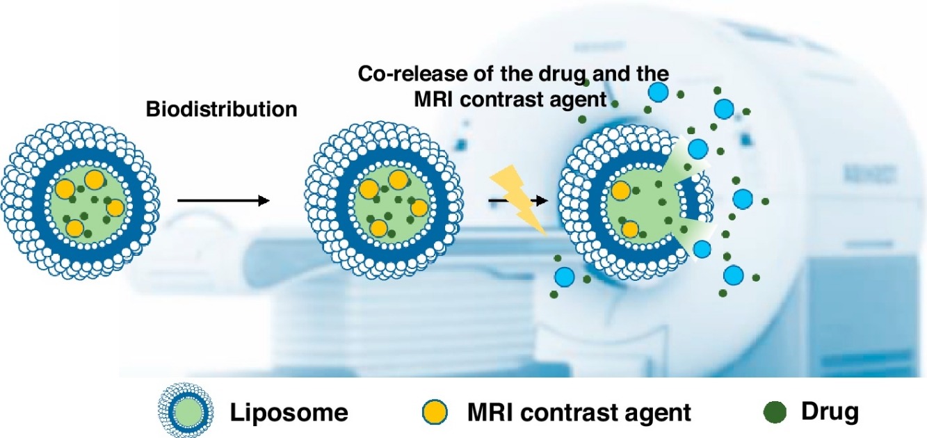 Following nanomedicine activation with magnetic resonance imaging: why, how, and what’s next?