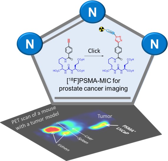 Modular Medical Imaging Agents Based on Azide–Alkyne Huisgen Cycloadditions: Synthesis and Pre-Clinical Evaluation of 18F-Labelled PSMA-Tracers for Prostate Cancer Imaging